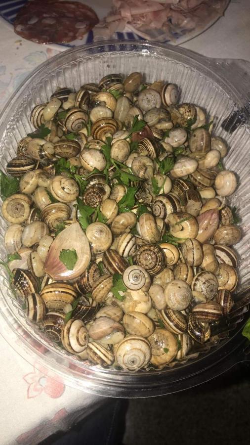 شقة Aspra Al Delfino Blu باغيريا المظهر الخارجي الصورة